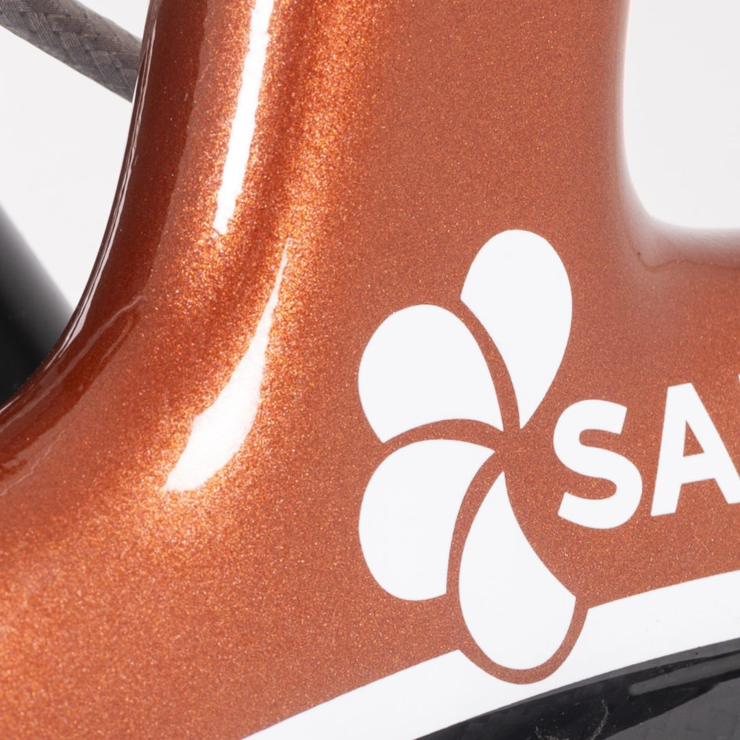 Saljol Carbon Rollator