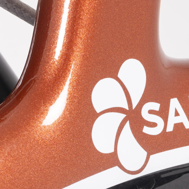 Saljol Carbon Rollator